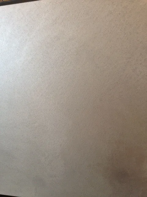 HIGH PERFORMANCE CEMENT MARMORINO (Floor Marmorino)